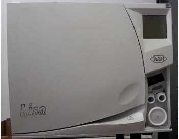 lisa